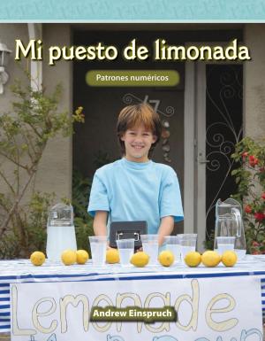 Cover of the book Mi puesto de limonada by Conklin, Wendy