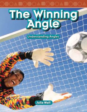 Cover of the book The Winning Angle by Lisa Greathouse, Stephanie Kuligowski