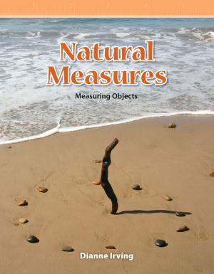 bigCover of the book Natural Measures by 