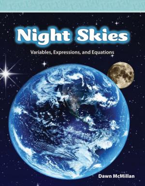 Cover of the book Night Skies by Ben Williams