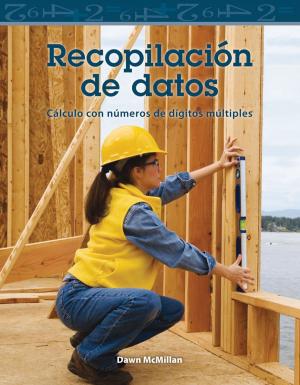 Book cover of Recopilación de datos