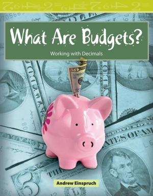 Cover of the book What Are Budgets? by Wendy Conklin