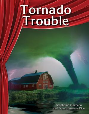 Cover of the book Tornado Trouble by Sharon Coan