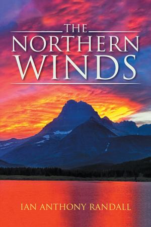 Cover of the book The Northern Winds by Hock G. Tjoa