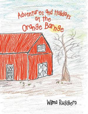 Cover of the book Adventures and Holidays at the Orange Barnge by Karee Stardens