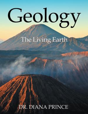Book cover of Geology