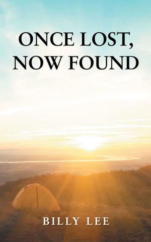 Cover of the book Once Lost, Now Found by Pat Murry