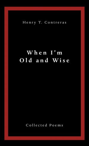Cover of the book When I’M Old and Wise by D. E. Hendley Jr