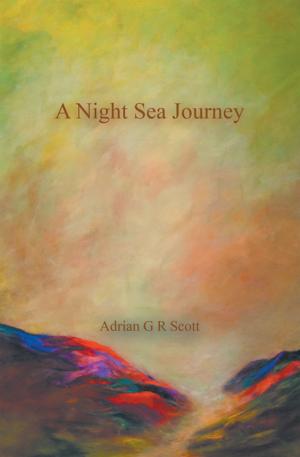 Book cover of A Night Sea Journey