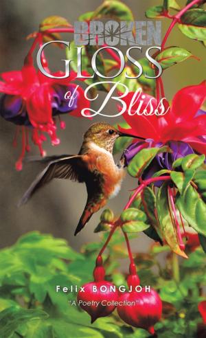 Cover of the book Broken Gloss of Bliss by Dr Kenny Akindele-Akande