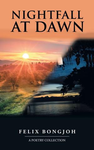 Cover of the book Nightfall at Dawn by Adrienne Fox