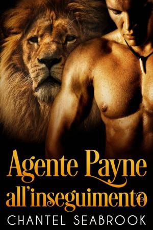 Cover of the book Agente Payne all'inseguimento by Chantel Seabrook