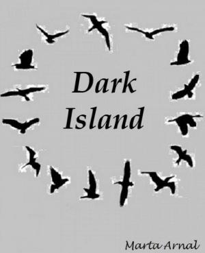 Cover of the book Dark Island by K. Matthew