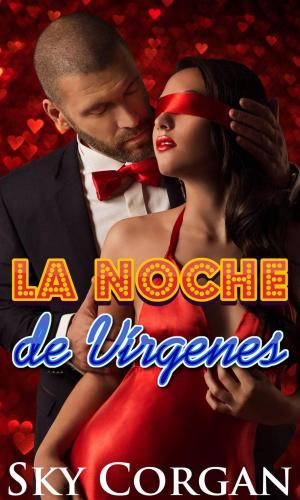 Cover of the book La Noche de Vírgenes by Brigid Collins