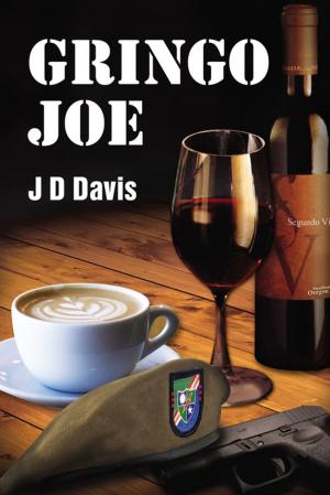 Cover of the book Gringo Joe by Robert Bowen