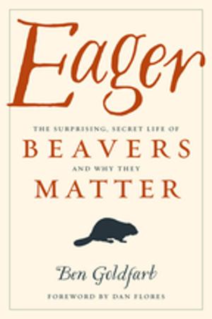 Cover of the book Eager by Lee Welles