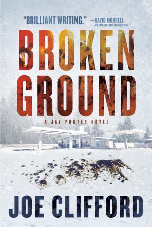 Cover of the book Broken Ground by Andrea Carter