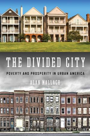 Cover of the book The Divided City by Orrin H. Pilkey, Rob Young