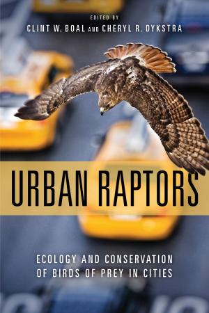 Cover of the book Urban Raptors by Jodi A. Hilty, William Z. Lidicker Jr., Adina Merenlender