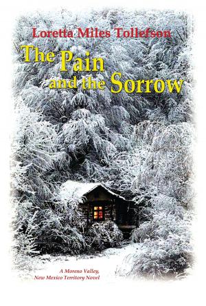 Cover of the book The Pain and the Sorrow by Brandilyn Collins