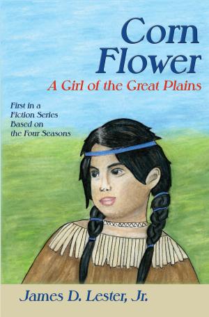Cover of Corn Flower, A Girl of the Great Plains