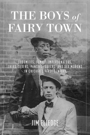 Cover of the book The Boys of Fairy Town by Amine Cumsky Weiss