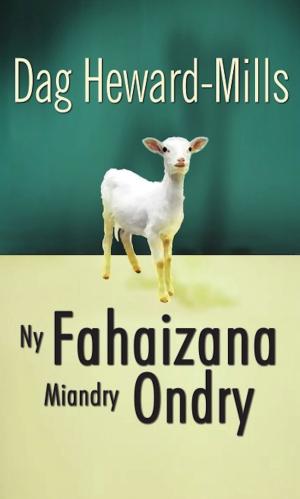 bigCover of the book Ny Fahaizana Miandry Ondry by 