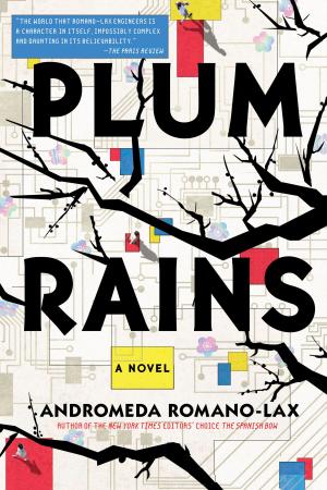 Cover of the book Plum Rains by Janwillem van de Wetering