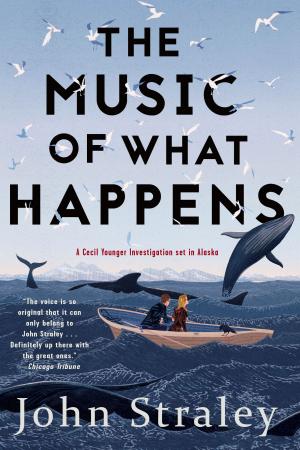 Cover of the book The Music of What Happens by James R. Benn