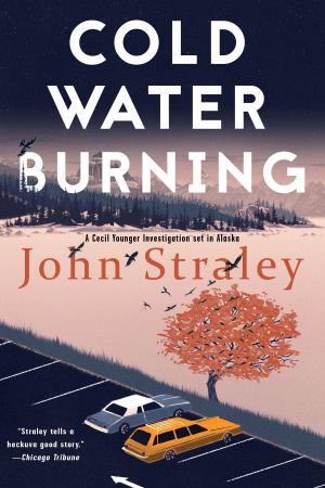 Cover of the book Cold Water Burning by Okey Ndibe