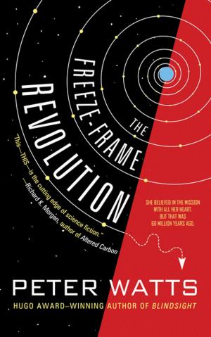 Cover of the book The Freeze-Frame Revolution by Michael Moorcock