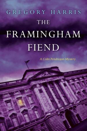 Cover of the book The Framingham Fiend by Barbara Block