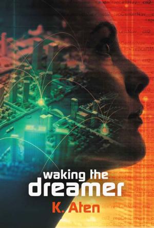 Cover of the book Waking the Dreamer by Lawrence Sky