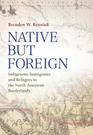 Cover of the book Native but Foreign by James H. Willbanks