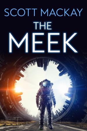 Cover of the book The Meek by Edo van Belkom