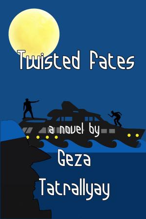 Cover of the book Twisted Fates by Douglas Durham