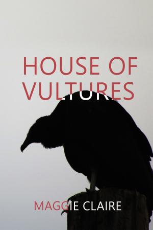 Cover of the book House of Vultures by S Evan Townsend