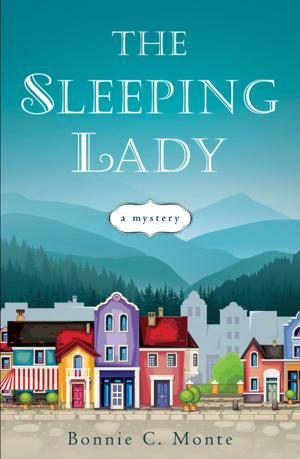 Cover of the book The Sleeping Lady by Sunny Mera