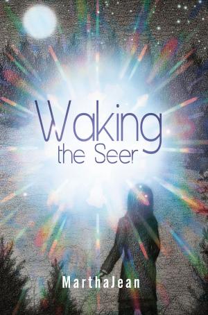 Cover of the book Waking the Seer by Fred M. Powers