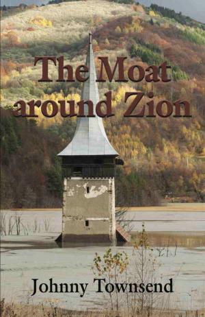 Book cover of The Moat Around Zion