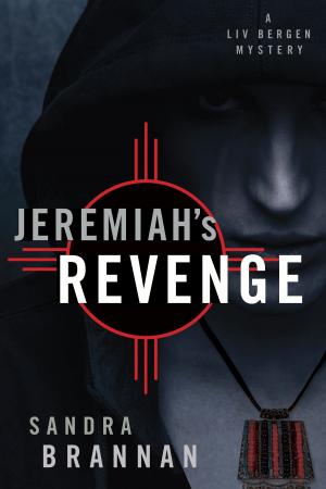 bigCover of the book Jeremiah's Revenge by 