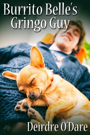 Cover of the book Burrito Belle's Gringo Guy by Sharon Hamilton, Suspense Sisters