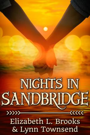 Cover of the book Nights in Sandbridge by Lani Aames