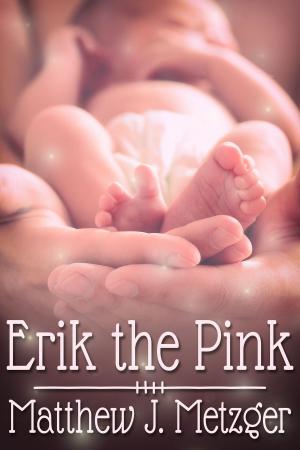 Cover of the book Erik the Pink by A.R. Moler