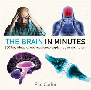 Cover of the book The Brain in Minutes by Michael Walters