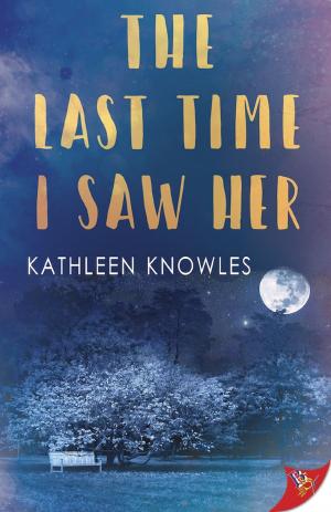 Cover of the book The Last Time I Saw Her by Anna Larner