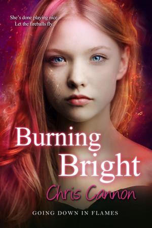Cover of the book Burning Bright by Alyssa Goodnight