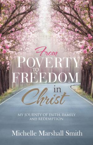 Cover of the book FROM POVERTY TO FREEDOMIN CHRIST by Wendy Gilhula