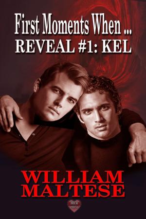 Cover of the book Kel by Adam Carpenter