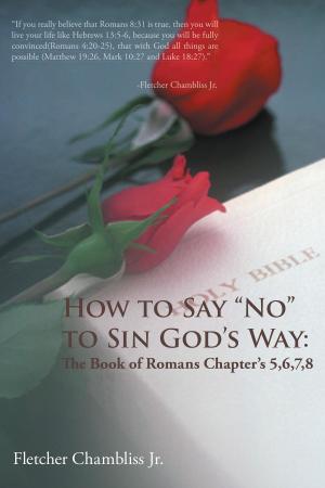 Cover of the book How to Say "No" to Sin God's Way by Cat Mae